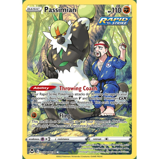 Passimian Illustration Rare TG8/TG30 Pokemon Card Game Silver Tempest