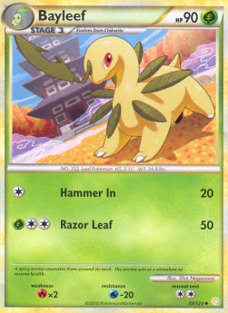 Bayleef