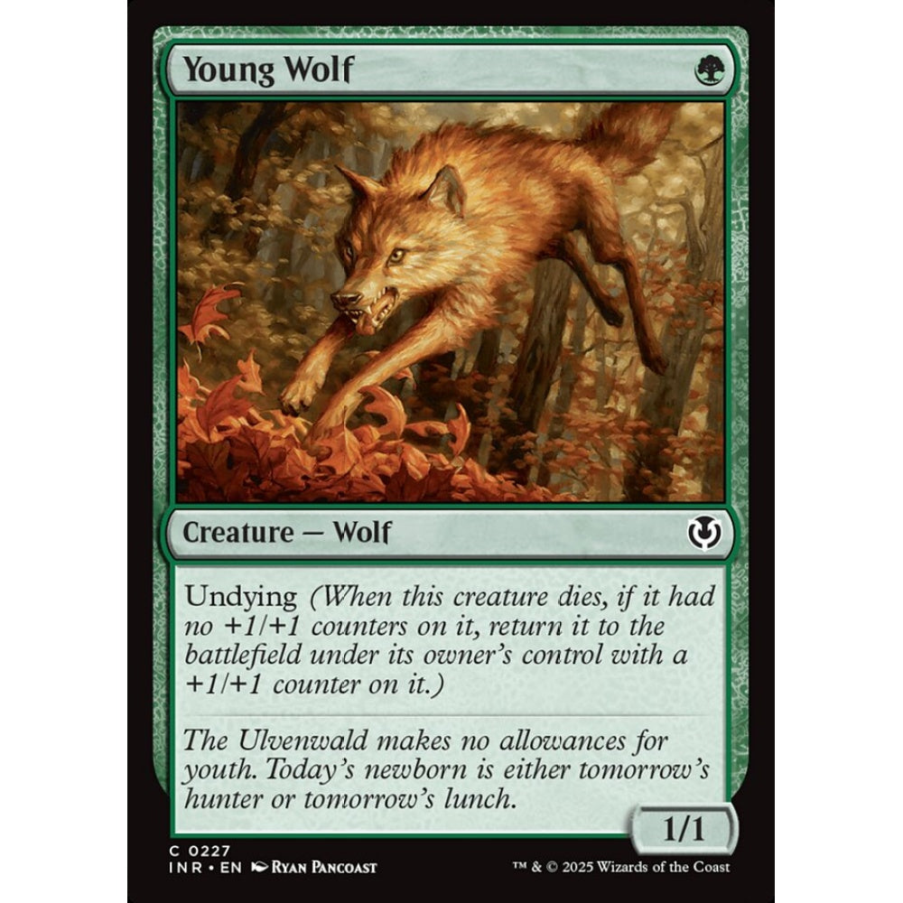 Young Wolf, 227, common, Magic: The Gathering, Innistrad Remastered