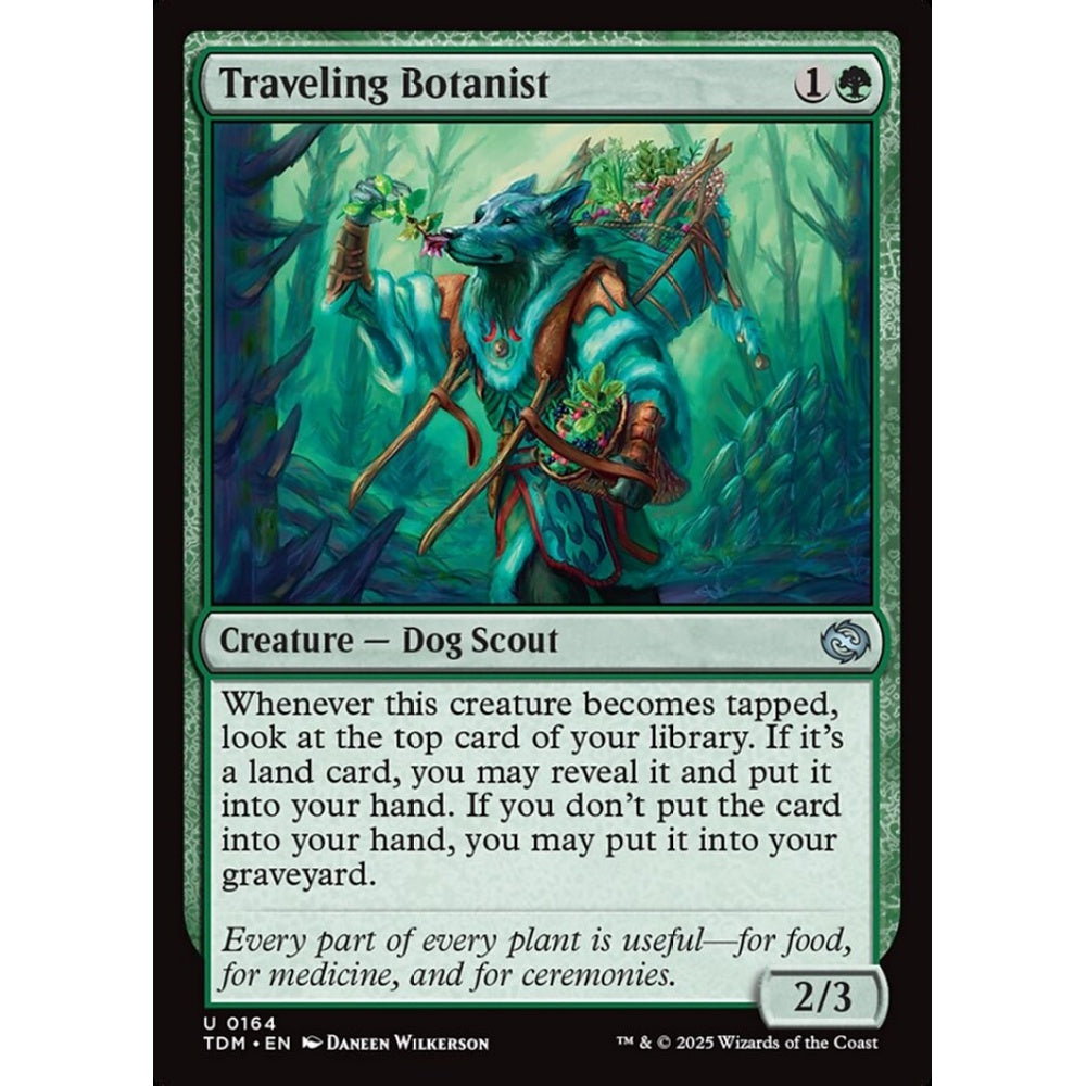Traveling Botanist uncommon 164 Magic the Gathering Tarkir: Dragonstorm