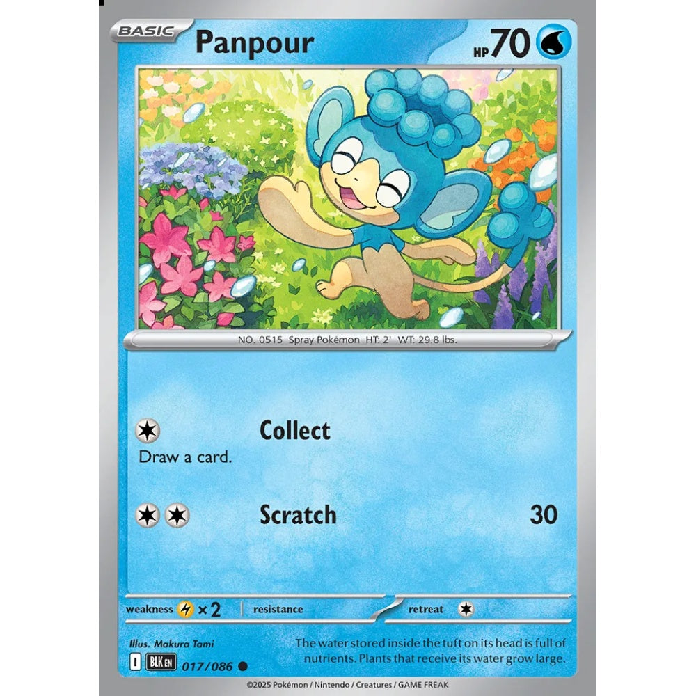 Panpour Common 017/086 Pokemon Card Game Black Bolt