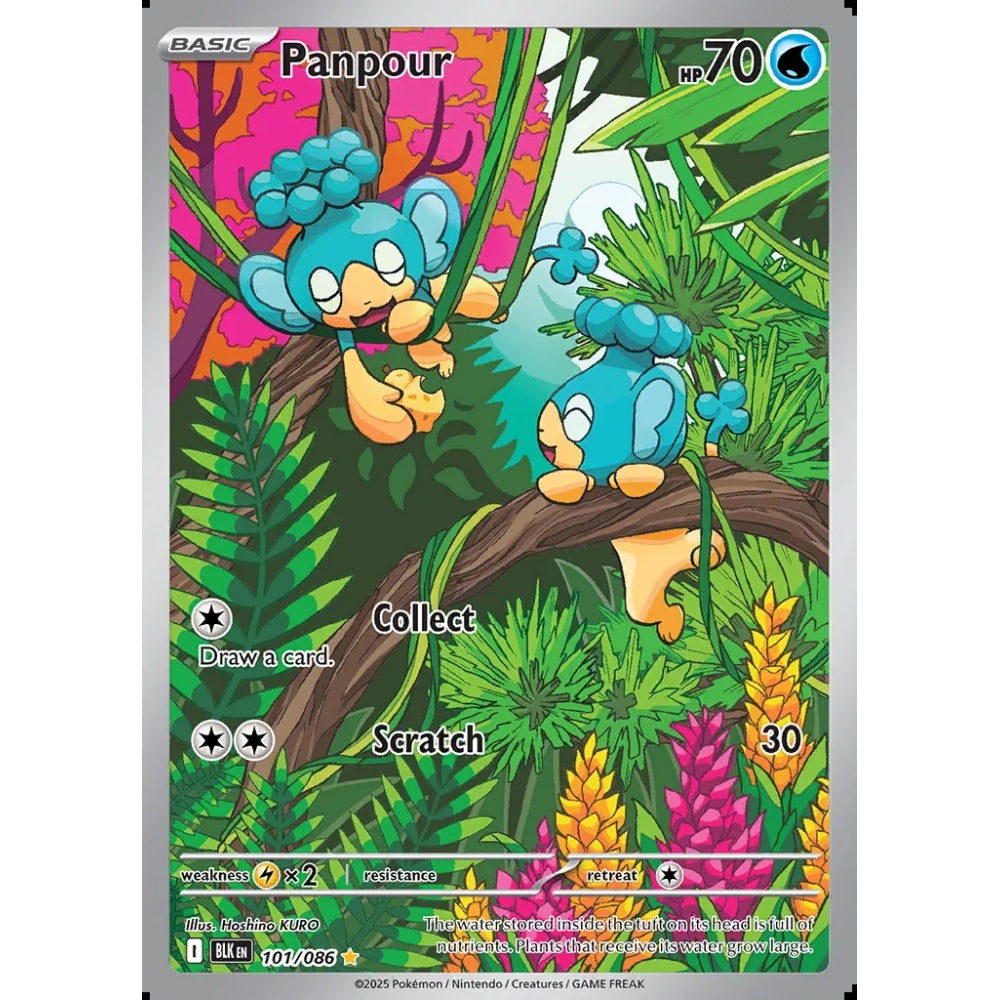 Panpour Illustration Rare 101/086 Pokemon Card Game Black Bolt