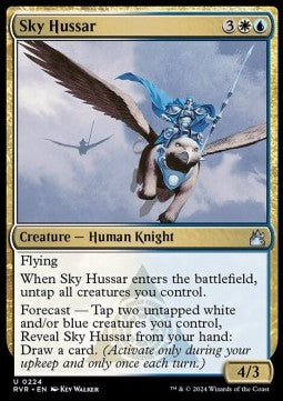 Sky Hussar