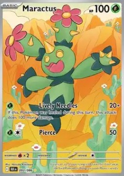 Maractus