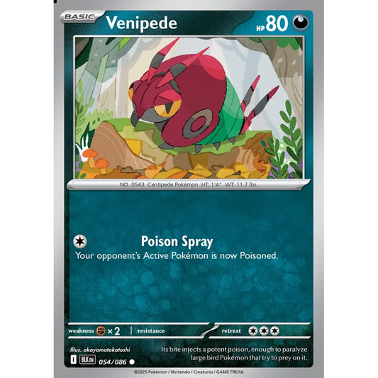 Venipede Common 054/086 Pokemon Card Game Black Bolt