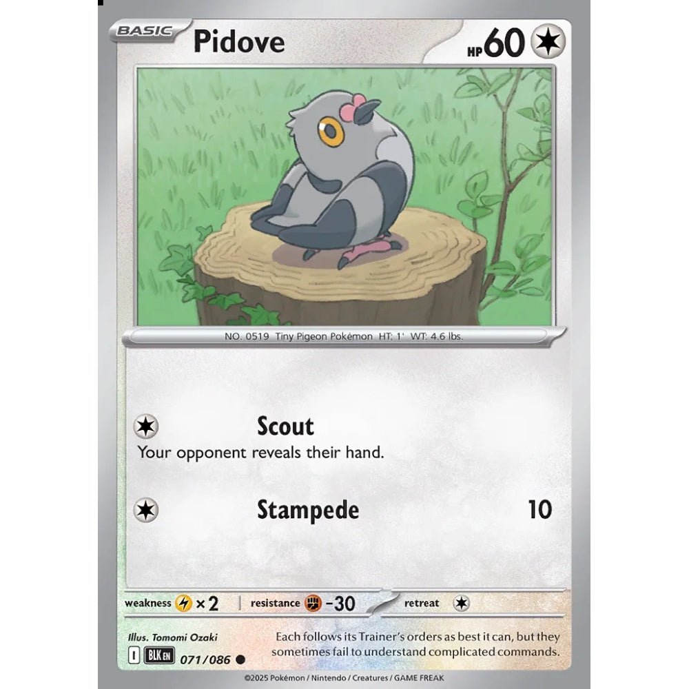 Pidove Common 071/086 Pokemon Card Game Black Bolt