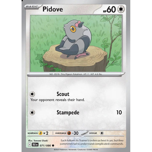 Pidove Common 071/086 Pokemon Card Game Black Bolt