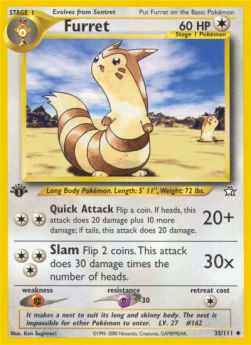 Furret