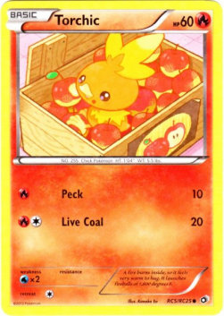 Torchic