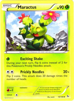 Maractus