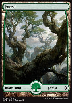 Forest (V.9) - Battle for Zendikar (Land) [BFZ-274]