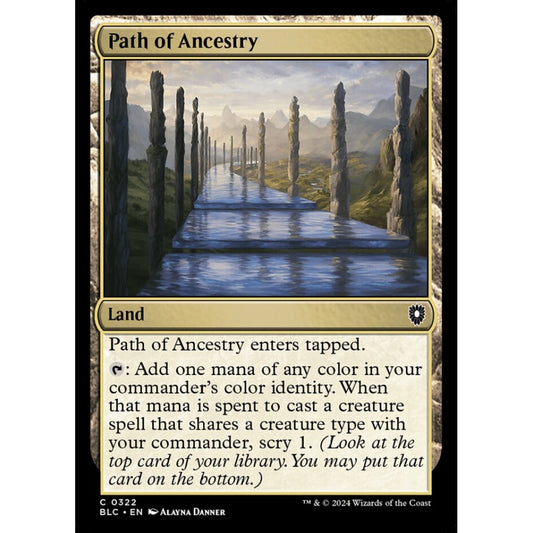 Path of Ancestry, 322, common, Magic: The Gathering, Bloomburrow