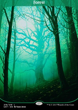 Forest - Unstable (Land) [UST-216]