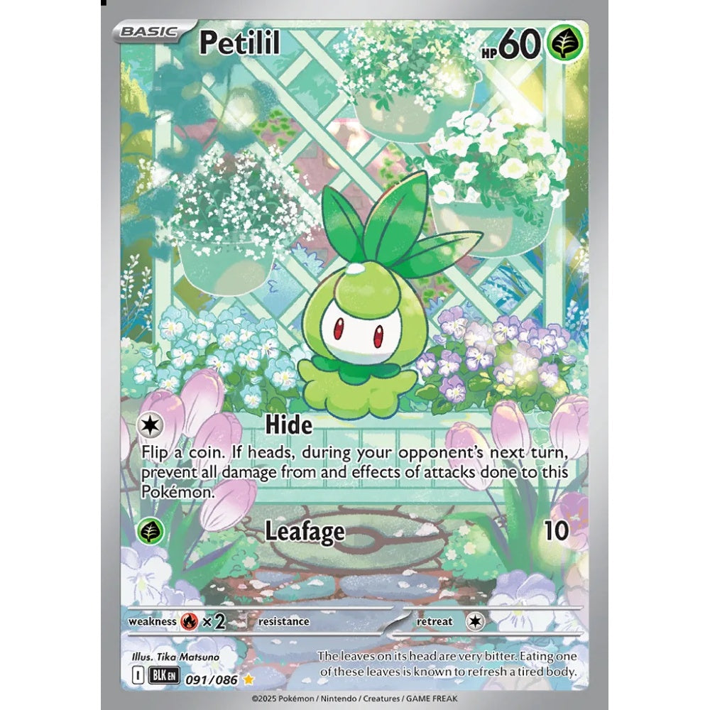 Petilil Illustration Rare 091/086 Pokemon Card Game Black Bolt