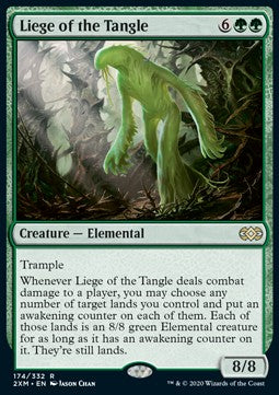 Liege of the Tangle - Double Masters (Rare) [2XM-174]