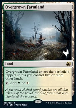 Overgrown Farmland (V.2)