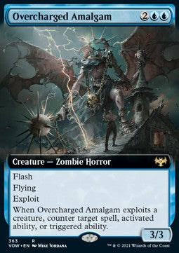 Overcharged Amalgam