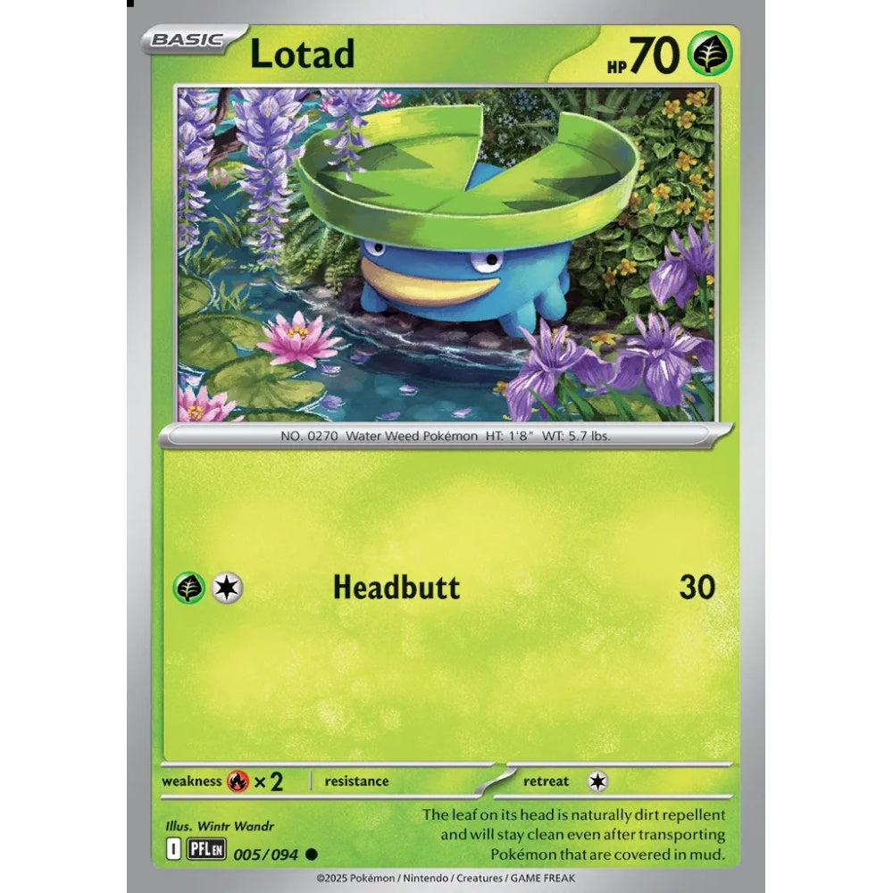 Lotad Common 005/094 Pokemon Card Game Phantasmal Flames