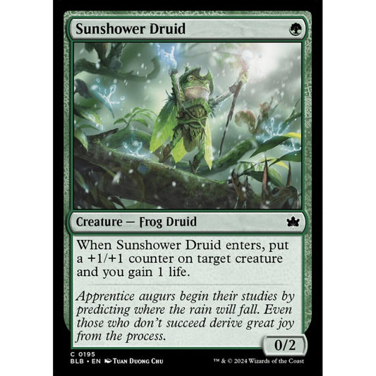 Sunshower Druid, 195, common, Magic: The Gathering, Bloomburrow
