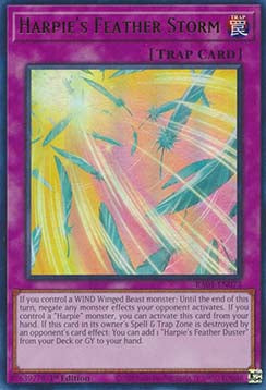 Harpie's Feather Storm (V.2 - Ultra Rare) - 25th Anniversary Rarity Collection (Ultra Rare) [RA01-073]