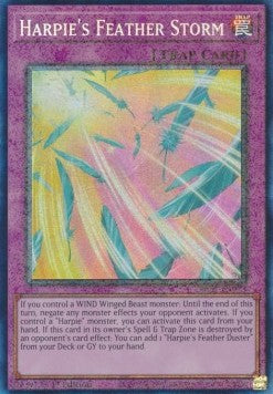 Harpie's Feather Storm (V.6 - Collectors Rare) - 25th Anniversary Rarity Collection (Collectors Rare) [RA01-073]