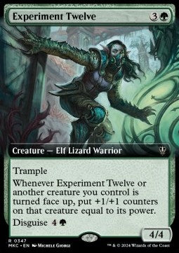 Experiment Twelve