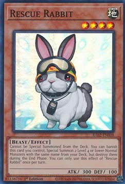 Rescue Rabbit (V.1 - Super Rare) - 25th Anniversary Rarity Collection II (Super Rare) [RA02-008]