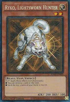 Ryko, Lightsworn Hunter (V.6 - Collectors Rare) - 25th Anniversary Rarity Collection II (Collectors Rare) [RA02-003]