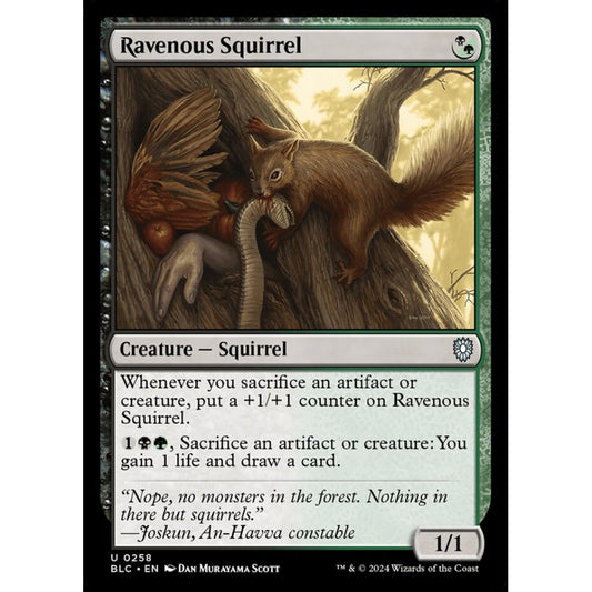Ravenous Squirrel, 258, uncommon, Magic: The Gathering, Bloomburrow