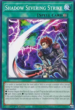 Shadow Severing Strike - Supreme Darkness (Common) [SUDA-085]