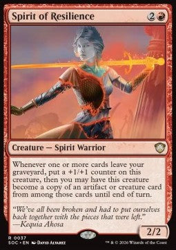 Spirit of Resilience