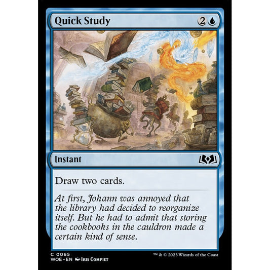 Quick Study, common, 65, Magic the Gathering, Wilds of Eldraine