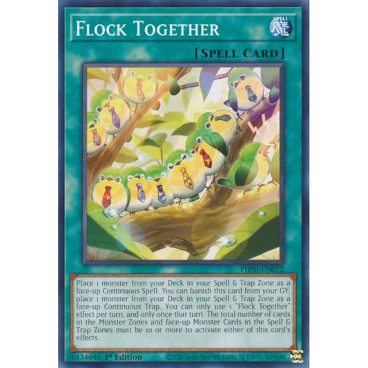 Flock Together PHNI-EN072 Common Common Yu-Gi-Oh Phantom Nightmare in Art