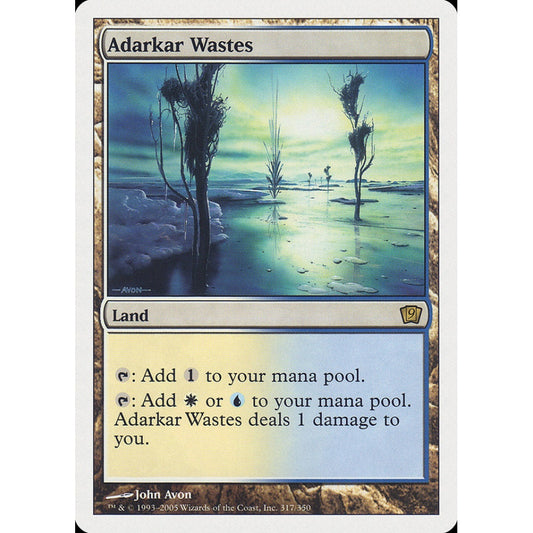 Adarkar Wastes rare 317 Magic the Gathering Ninth Edition