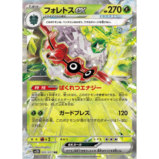 Forretress ex Double Rare 005/071 Pokemon Card Game Clay Burst S-Chinese
