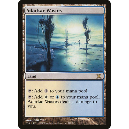 Adarkar Wastes rare 347 Magic the Gathering Tenth Edition S-Chinese